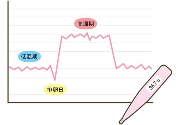 基礎体温で判断する