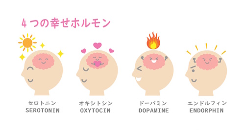4大幸せホルモン